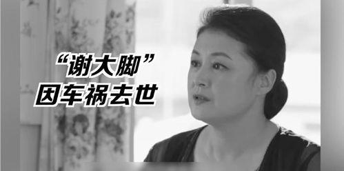 娱乐圈吃瓜警察小说
